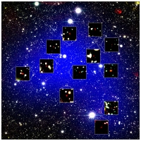 今回観測された12個の原始銀河団。(c) 国立天文台/Harikane et al.