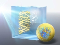 酸フッ化物を用いた光電極の想像図（写真：東工大の発表資料より）