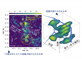 超銀河団領域の銀河の個数密度分布を示す3次元（右）と2次元図。2次元分布では、奥行方向から約73億光年付近のみを切り出した大規模構造を示す。黄色の領域が、今回の研究によって分光確認された超銀河団領域。(c) 国立天文台