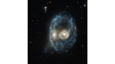 ハッブル宇宙望遠鏡がとらえた特異銀河「アープ・マドア 2026-424」 （c） NASA, ESA, and J. Dalcanton, B.F. Williams, and M. Durbin （University of Washington）