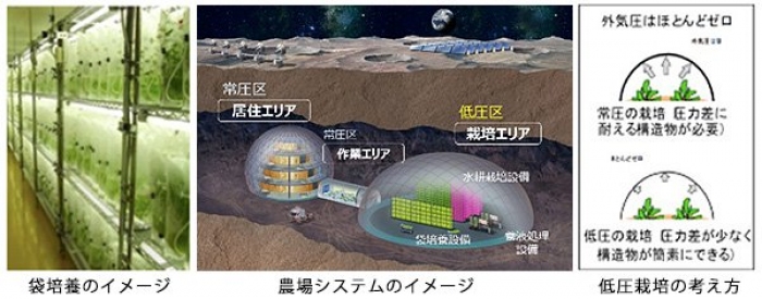 袋培養（左）と月面農場（中央）のイメージ（画像はキリンホールディングスの発表資料より）