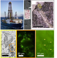 玄武岩を採取したジョイデス・レゾリューション号（左上）、得られた玄武岩サンプル（上中央）、顕微鏡による粘土鉱物部分（右上）、可視化された微生物（下3枚）。（写真：東京大学の発表資料より）