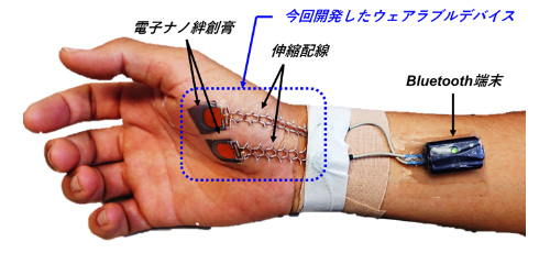 開発したデバイスを装着した様子（写真：JSTの発表資料より）