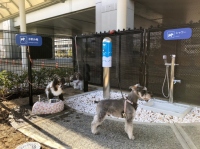 愛犬専用トイレ（画像: 関西エアポートの発表資料より）
