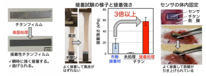 研究の概要（写真：岡山大学の発表資料より）