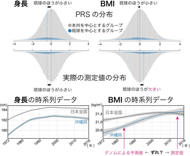 2つのグループによる身長・BMIのPRSと検査値自体の分布と、過去50年間の身長・BMIの平均値の時系列変化。