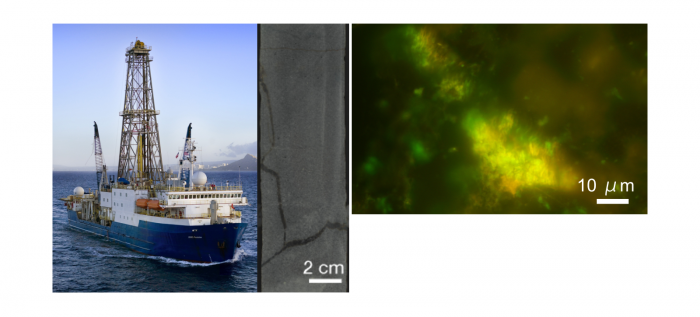 ジョイデス・レゾリューション号と掘削された玄武岩試料（左）。試料から確認された微生物（右）（写真：東京大学の発表資料より）