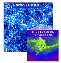数値シミュレーションにより重元素を含むガス雲から超大質量星が形成 （c） Sunmyon Chon