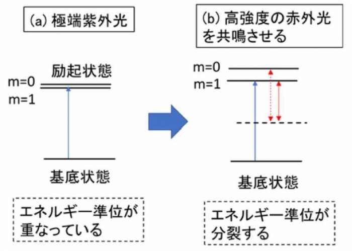 エネルギー準位と励起の模式図。気体の原子の場合は、異なる磁気量子数を持つエネルギー準位はほぼ重なっているため、極端紫外光で分けることは困難という（aの場合）。一方で高強度の赤外光を加えると、全体的にエネルギー準位がシフトする。さらに赤外光の波長（エネルギー）を他の準位と共鳴させると、異なる磁気量子数を持つエネルギー準位が分裂するという（bの場合）。（画像: 早稲田大学の発表資料より）