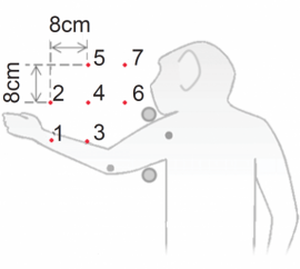 サルの脊椎の電気刺激を与えることで、腕運動の力ベクトルを求めた本実験のイメージ（京都大学の発表より）