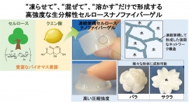 研究の概要（画像：日本原子力研究開発機構の発表資料より）