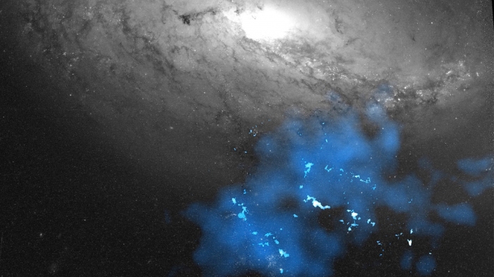 潮汐矮小銀河（青）と渦巻銀河（グレースケール）　(c) Hubble Space Telescope / ALMA