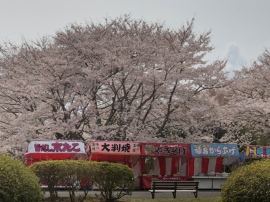 東京商工リサーチが「歓送迎会・お花見に関するアンケート」調査。「歓送迎会や花見を開催しない予定」の企業は97.6%