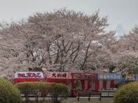 東京商工リサーチが「歓送迎会・お花見に関するアンケート」調査。「歓送迎会や花見を開催しない予定」の企業は97.6%