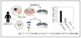 名古屋大学の研究チームが開発したナノサイズの酸化亜鉛ナノワイヤ装置（名古屋大学の発表資料より）