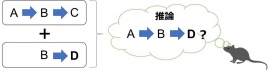 「推論」をするイメージ。（画像1:北海道大学報道発表資料より）