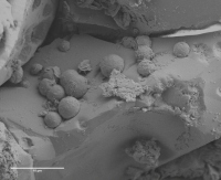 46億年前の隕石の電子顕微鏡写真。視野内に複数の球状の鉱物含有物が確認される。（画像: ラフバラー大学の発表資料より）