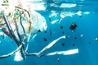 プラスチックは本当に環境の敵？ 日本の資源循環に変化を起こす、新しいブロックチェーンとは（連載8回目）