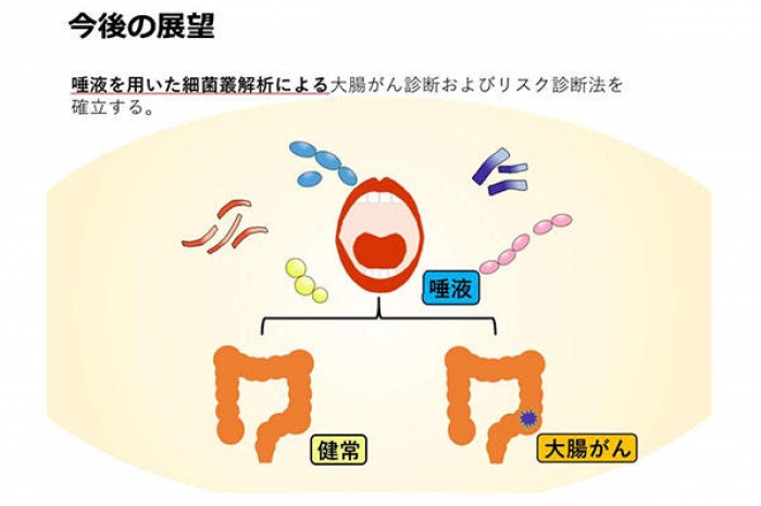 研究結果からの今後の展望（画像: 鹿児島大学の発表資料より）