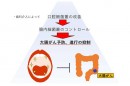 研究結果からの今後の展望（画像: 鹿児島大学の発表資料より）