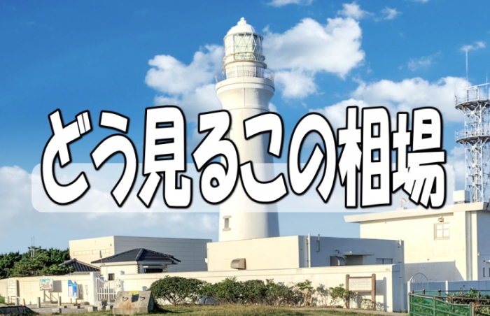 自民党の岸田文雄新総裁へのご祝儀相場は失速のままか？再生エネルギー関連株の株価大崩れに歯止めが掛かるのか？……前週２７日付けの当コラムで期待したご祝儀相場の雲行きが怪しい。それもこれも、自民党の総裁選挙の一回目の国会議員投票で、本命視された河野太郎候補の獲得票が第３位と水を開けられ、決戦投票でも票が伸びず完敗したことにある。