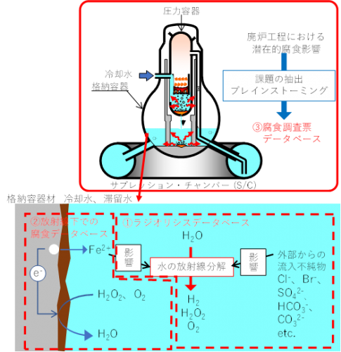 放射線環境下にある福島第一原発（1F）格納容器材の腐食模式図と、放射線環境下での腐食データベースの概要。（画像: 発表資料より）