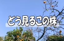 東海ソフト＜４４３０＞（東１）は独立系のソフトウェア開発会社である。２２年５月期は需要が高水準に推移して増収、営業・経常増益予想としている。第１四半期は大幅増益で過去最高の経常利益だった。第１四半期の進捗率が順調であり、通期ベースでも収益拡大を期待したい。株価は上値の重い展開だが、調整一巡して出直りを期待したい。