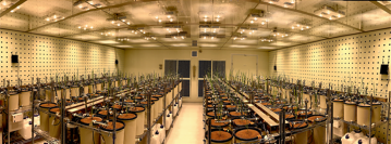 人工気象室内に設置したポット・システム（iPOTs）を使ったイネの栽培風景（画像: 農研機構の発表資料より）