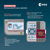 ESAが公開した冬眠カプセルのイメージ図。水を含んだ寝具によってクルーは宇宙放射線から保護され、各種センシング機能により健康状態が監視されている。　(c) ESA