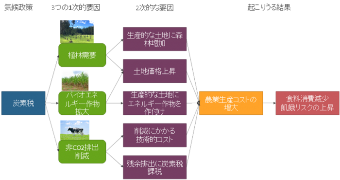 気候政策による炭素税が、農業・土地利用部門に影響した場合に発生しうる事象。（画像: 京都大学の発表資料より）