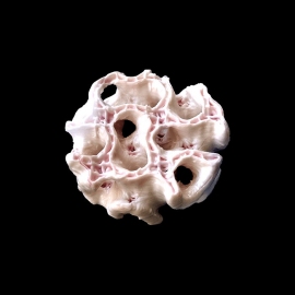 3Dバイオプリンティングで試作された人工骨サンプル (c) ESA-Remedia