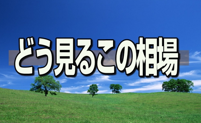 なかなか難しそうな相場である。１０連休を取って鋭気を養い心身、フトコロ具合ともリフレッシュした投資家でも、この週明けは判断に戸惑うに違いない。とにかく１０連休中は、日米両市場ともアップダウンが激し過ぎたのである。ダウ工業株３０種平均（ＮＹダウ）は日替わりで９００ドル高、１０００ドル安などを繰り返し、引っ張られた日経平均株価も、連休の谷間には日中値幅が３５０円超、５００円超と大きく上下にブレて方向感が定まらないようにみえた。