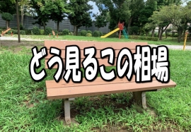 一部の気の早い投資家は、「サマーラリー」と囃し立てているようだ。空模様は、関東甲信越地方が、まだ梅雨入りさえしていないのに、相場模様では、カラ梅雨、早期の梅雨明けへの待望である。無理もない。