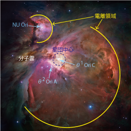 オリオン座の大星雲M42の構造。大質量星誕生後の周辺領域では高温の電離ガスが拡散し、恒星が誕生しつつある領域では低温の分子運が分布している。（画像: 東京大学の発表資料より）
