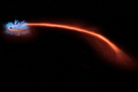 ブラックホールに恒星が吸い込まれる状況のイメージ。ブラックホールの周りでは大量のX線（イラストでは青で表現されている）が放出されている。今回このような画像が直接捉えられたわけではなく、潮汐破壊を起こした天体からの光を偏光分析して様々な情報を得ている（画像クレジット：NASA / CXC / M.Weiss）