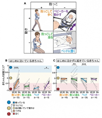 赤ちゃんに4つのタスクをそれぞれ30秒間行った結果。（画像: 理化学研究所の発表資料より）