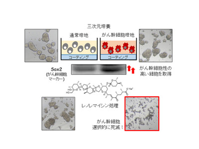 今回の研究の概要（画像: 京都大学報道発表資料より）