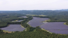 2021年10月に営業運転を開始した「軽米尊坊ソーラー発電所」（岩手県九戸郡軽米町）（画像: レノバの発表資料より）