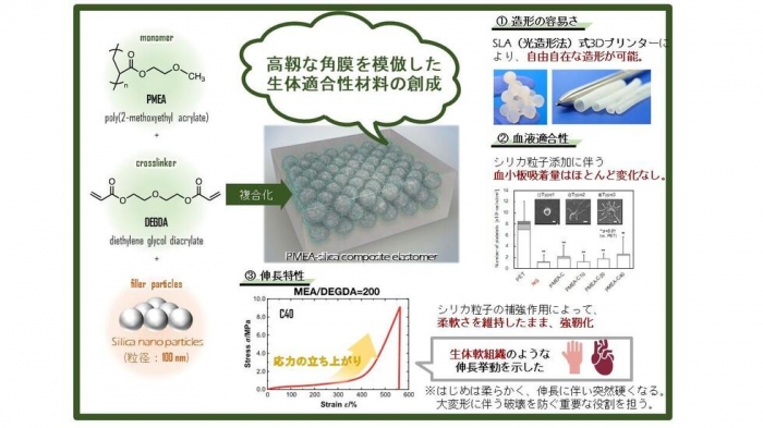 今回の研究の概要（画像: 名古屋大学の発表資料より）