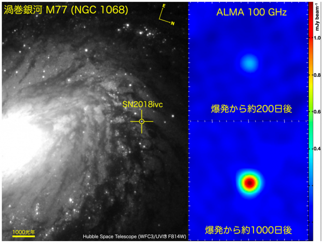 左: 超新星SN2018ivcの位置、右上: ルマ望遠鏡による超新星SN2018ivcの爆発から約200日後の画像、右下: 約1000日後の画像（再増光が確認できる）
(c) （左）Based on observations made with the NASA/ESA Hubble Space Telescope, and obtained from the Hubble Legacy Archive, which is a collaboration between the Space Telescope Science Institute （STScI/NASA）, the Space Telescope European Coordinating Facility （ST-ECF/ESA） and the Canadian Astronomy Data Centre （CADC/NRC/CSA）. （右）ALMA （ESO/NAOJ/NRAO）, K. Maeda et al.