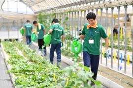 わーくはぴねす農園の様子。（画像: エスプールプラスの発表資料より）