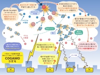 宇宙から降り注ぐ宇宙線の空気シャワーと雷雲の相互作用で、電子が加速されてガンマ線が発生する様子と、それが雷放電のトリガーになる可能性を示す模式図（イラスト製作：ひっぐすたん）　（画像: 京都大学の発表資料より）