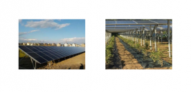 まちの発電所に追加される施設。低圧・分散型太陽光発電設備（左）とソーラーシェアリング（右）の例。（イオンモール発表資料より）