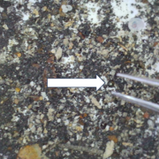 回収されたIM1の破片。鉄を豊富に含む直径0.4mmの球体（白い矢印の部分）がある。（ハーバード大学・ガリレオプロジェクトの発表資料より）