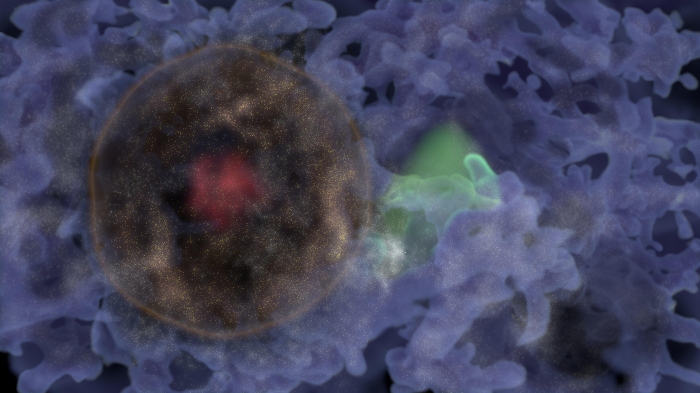 今回発見され、Hoʻoleilanaと名付けられた宇宙の大規模構造のイメージ図（画像: ハワイ大学の発表資料より）