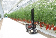 自社農場で収穫するロボット（画像：トクイテンの発表資料より）