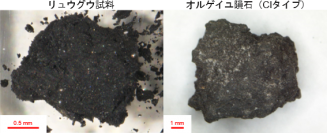 リュウグウ試料（左）とオルゲイユ隕石（炭素質コンドライト、右）の写真。リュウグウ試料はオルゲイユ隕石に比べて暗い物質が大部分を占めている（画像: 東北大学の発表資料より）（左・JAXA、右・著者撮影）