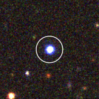すばる望遠鏡の超広視野主焦点カメラ（HSC） で撮影されたブルドッグの画像。3種類のフィルターで撮った画像をそれぞれ青、緑、赤の擬似カラーで表した合成画像。ブルドッグで青い光の超過があることが分かる。（画像: 早稲田大学の発表資料より）(c) NAOJ / HSC Collaboration