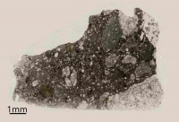 今回分析された月の隕石。（画像: ウェスタンオンタリオ大学の発表資料より。Tara Hayden photo）