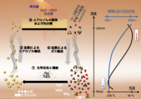 今回の研究で提案された、金星上層の水循環の概念図（東北大学の発表資料より）